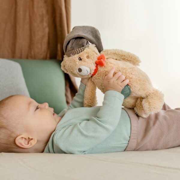 Bruno the Cuddly Toy Bear