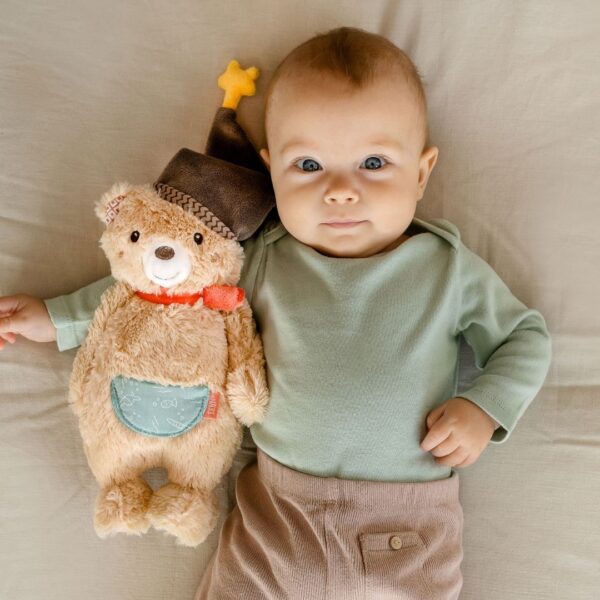 Bruno the Cuddly Toy Bear