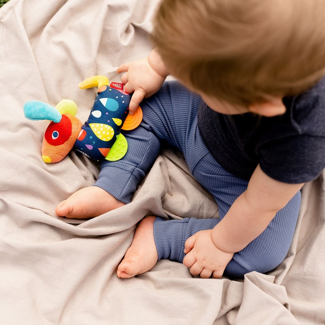 Fehn Dog Sensory Toy & Teether