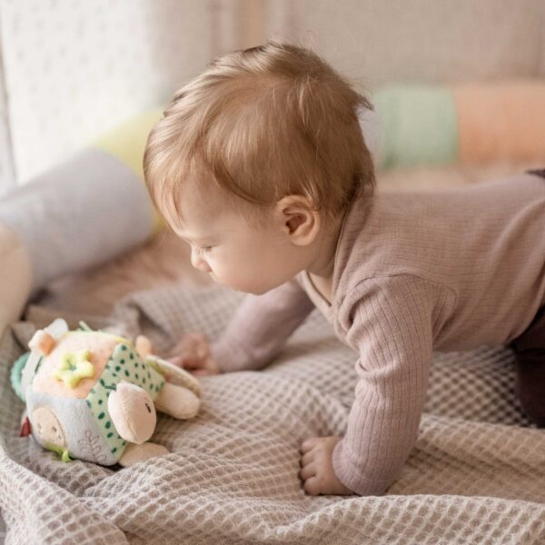 Fehn Sensory Activity Turtle Toy