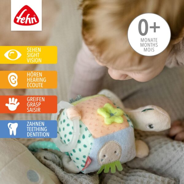Fehn Sensory Activity Turtle Toy