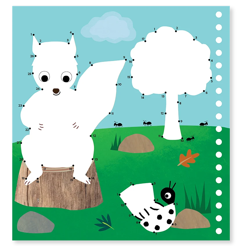 Floss & Rock Water Multiplay - Adventure