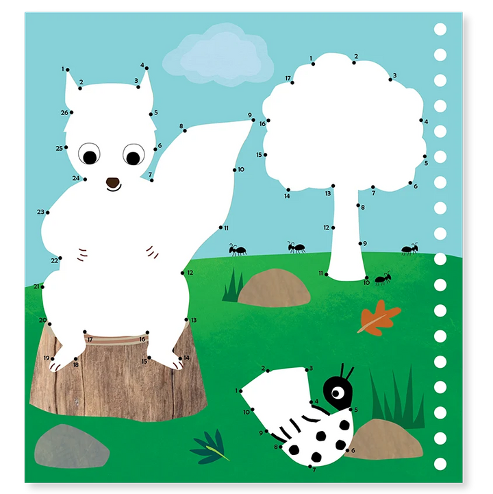 Floss & Rock Water Multiplay - Adventure