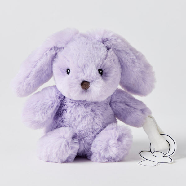 Bunny Plush Toys &  Dummy Holders