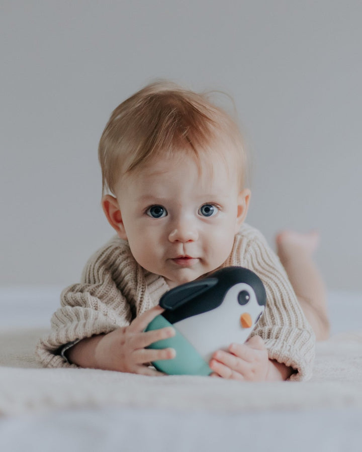 Jellystone Penguin Wobble Sensory Toy - Assorted