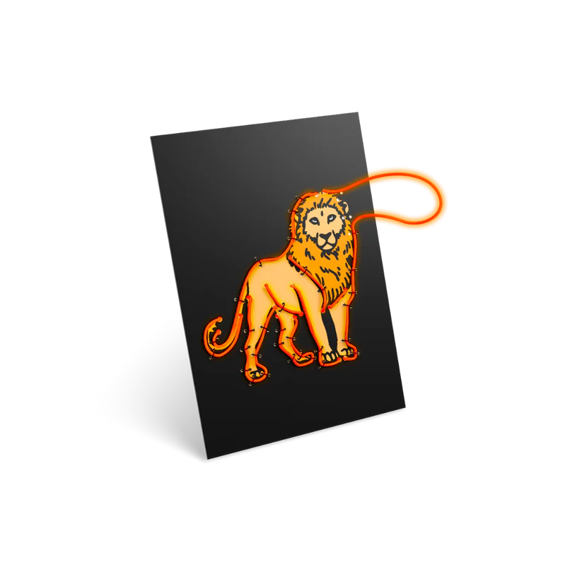 KIDYNEON Kit for Illuminated Wall Decoration - Animals