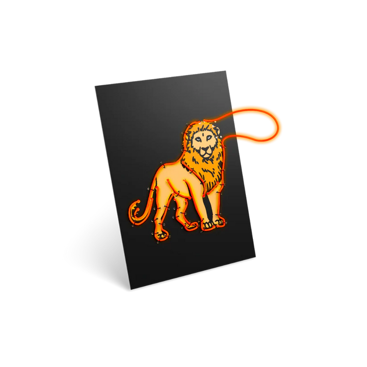 KIDYNEON Kit for Illuminated Wall Decoration - Animals