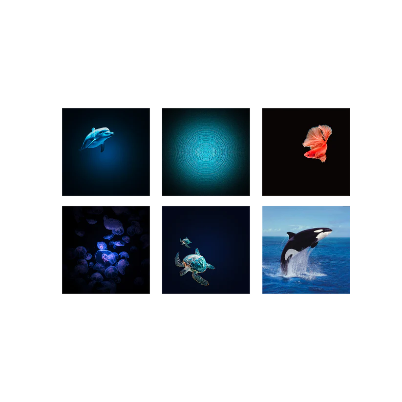 KIDYSTAR Ocean and Seas Image Projector & Speaker