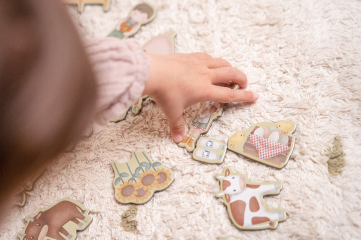 Little Farm Magnetic Playboard Set