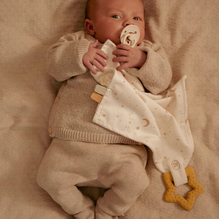 Little Goose Cuddle Cloth Comforter & Teether