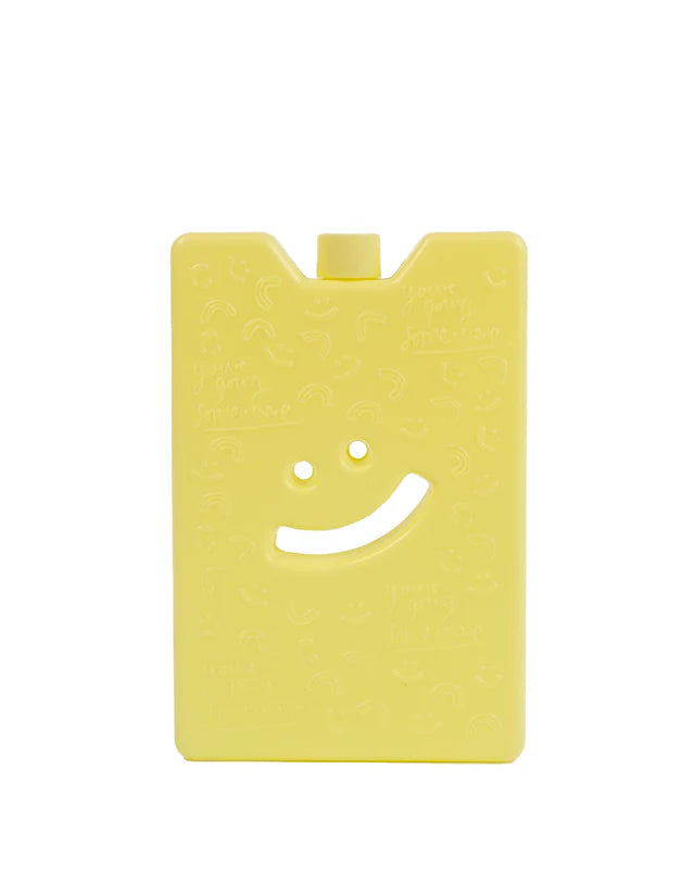 The Somewhere Co Reusable Ice Brick