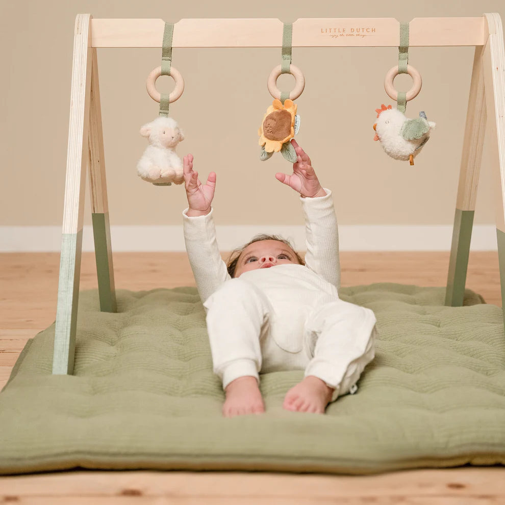 Little Farm Wooden Baby Gym