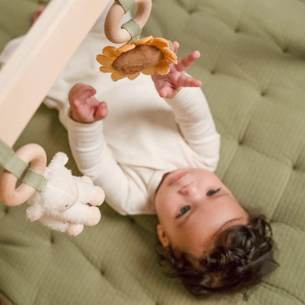 Little Farm Wooden Baby Gym