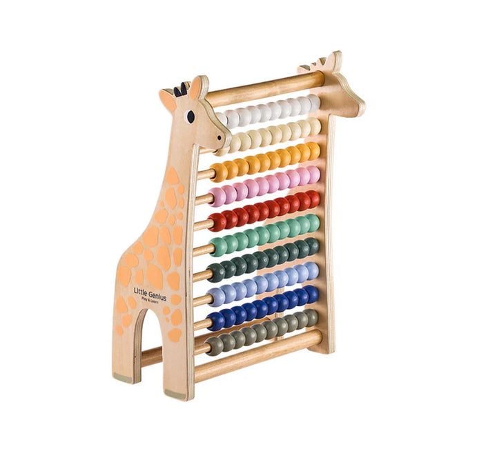 Little Genius Play & Learn - Abacus