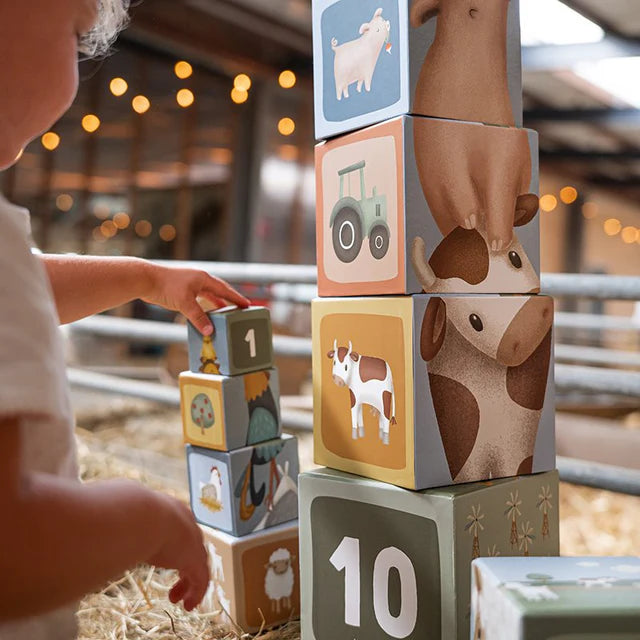 Little Farm 10 Piece Cardboard Building Blocks
