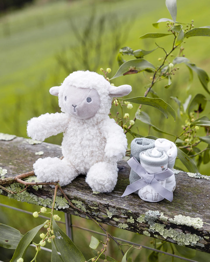 Little Linen Soft Plush Toy & Washers Gift Box - Farmyard Lamb
