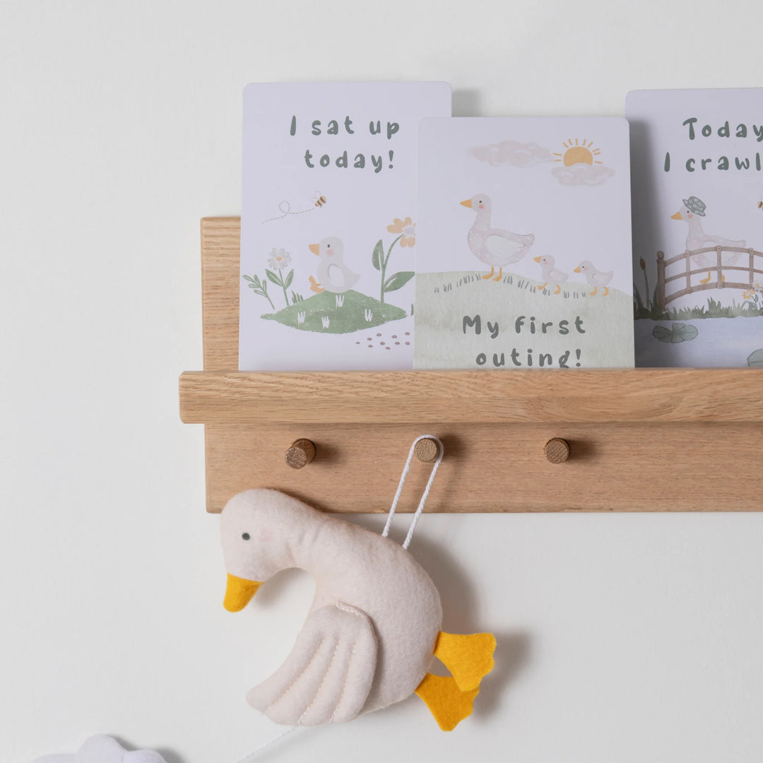 Baby Milestone Cards Set - Goosey Goosey