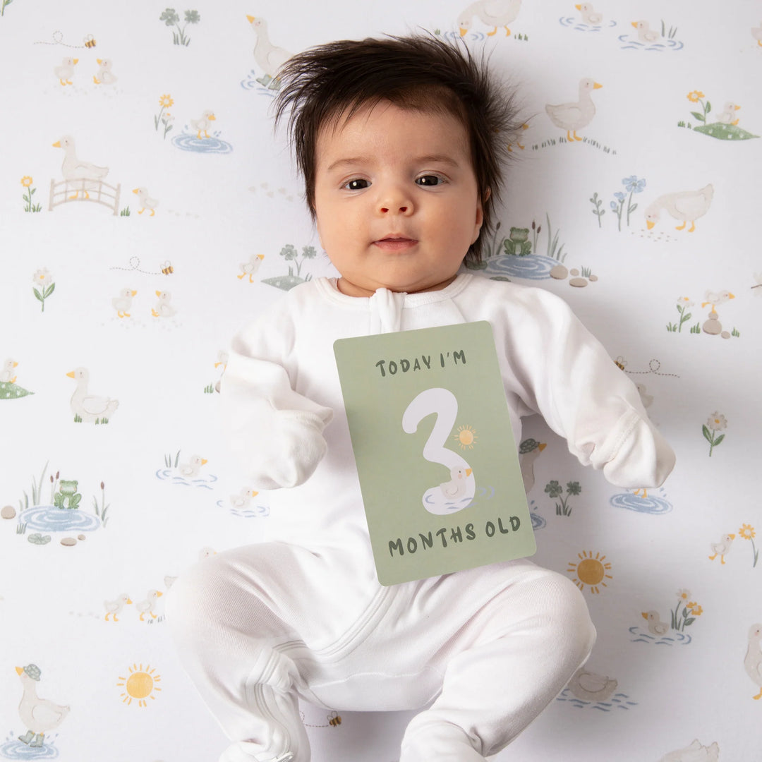 Baby Milestone Cards Set - Goosey Goosey