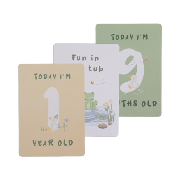 Baby Milestone Cards Set - Goosey Goosey