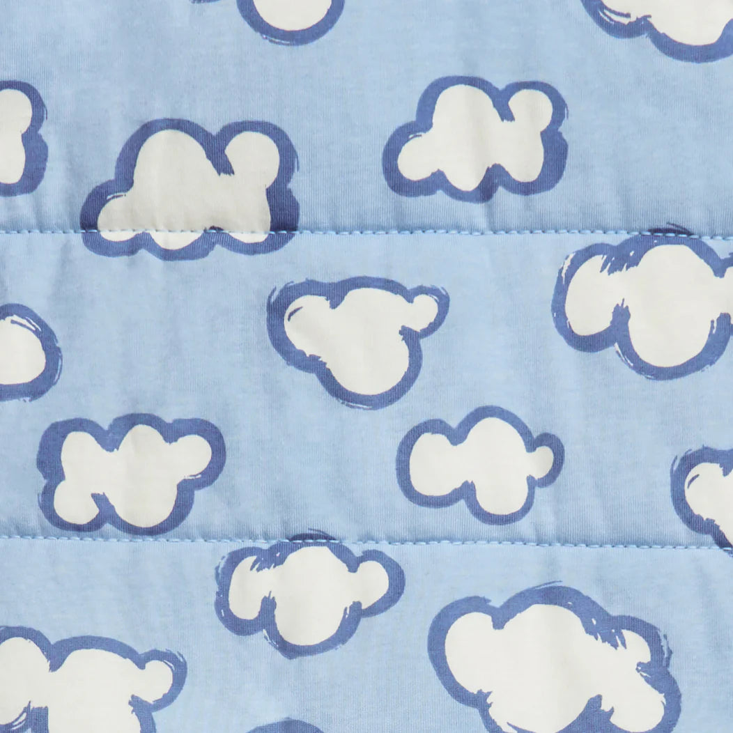 Love to Dream Sleep Bag Long Sleeve 2.5 TOG - Blue Daydream