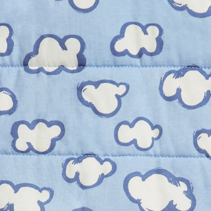 Love to Dream Sleep Bag Long Sleeve 2.5 TOG - Blue Daydream
