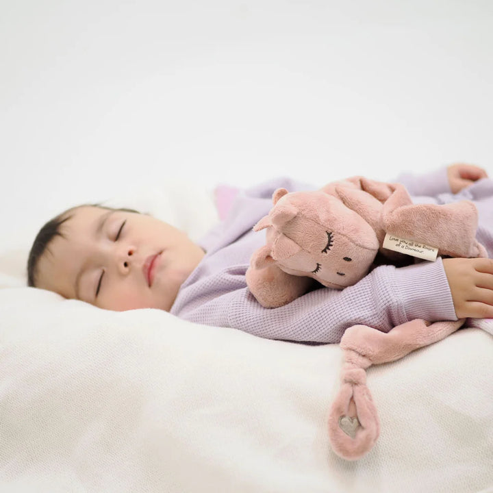 Schnorglesaurus Sensory Comforter - Assorted