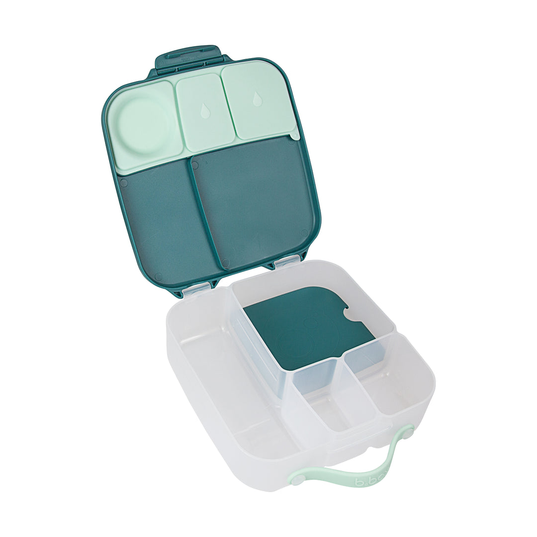 bbox Bento Large Lunchbox - Emerald Forest