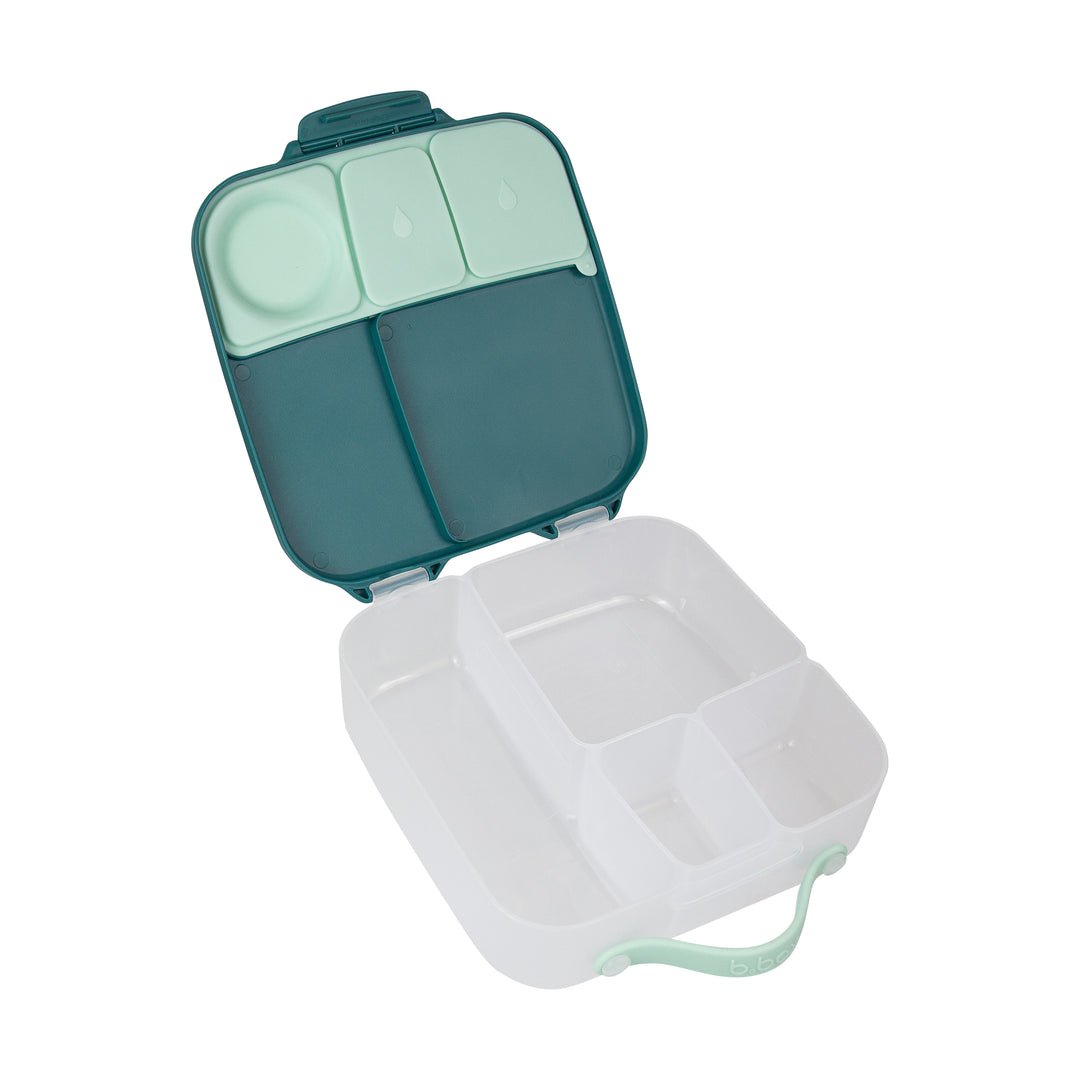bbox Bento Large Lunchbox - Emerald Forest