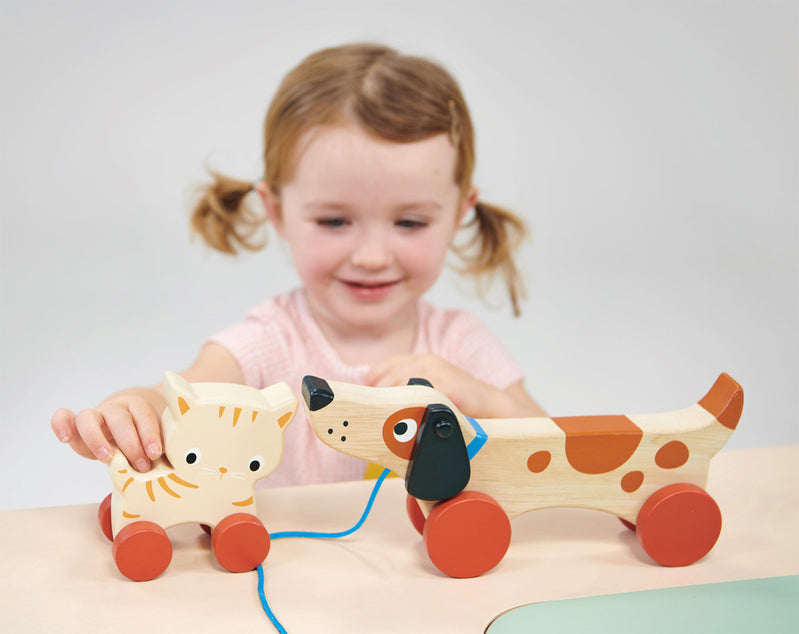 Wooden Puppy On Wheels Pull Along