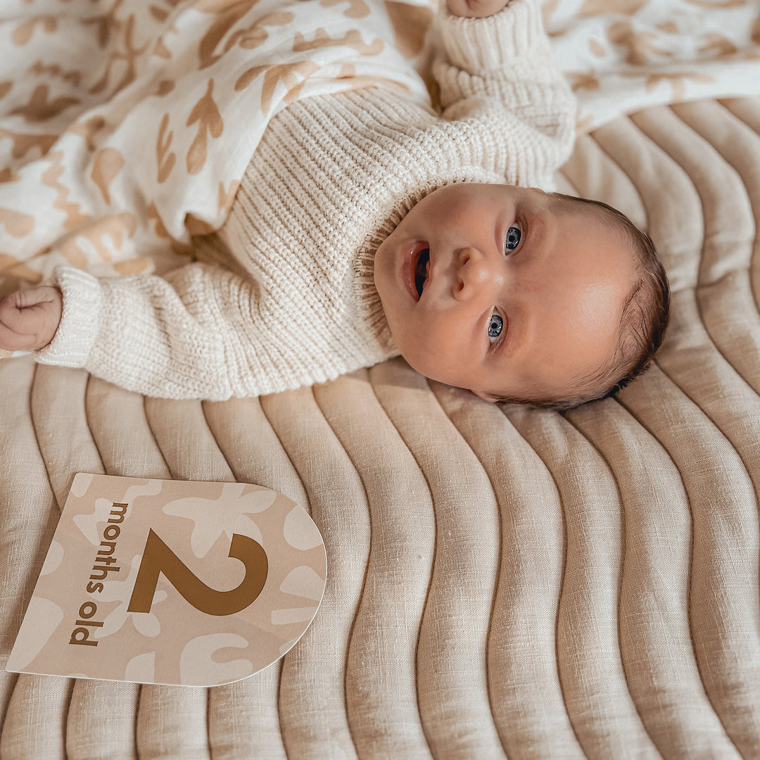 Fox & Fallow’s Baby Milestone Cards  - Helios