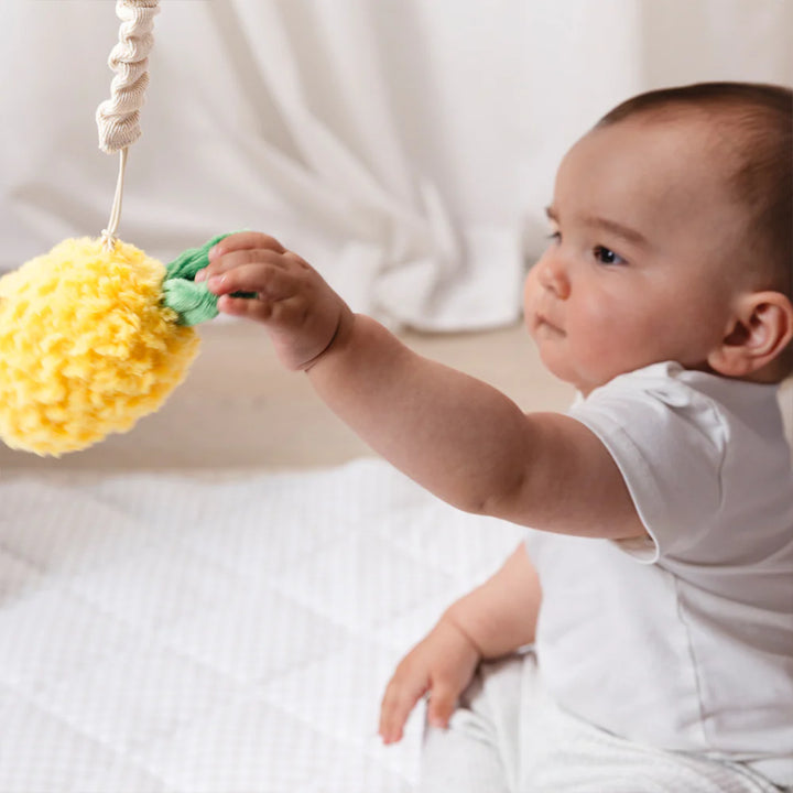 Mini Market Brunch Stroller Toys - Pineapple & Cherries