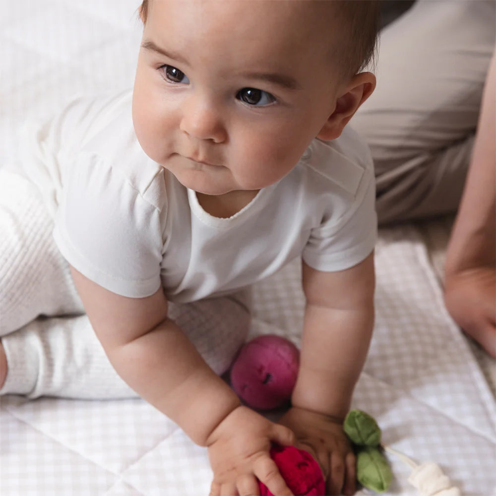 Mini Market Brunch Stroller Toys - Pineapple & Cherries