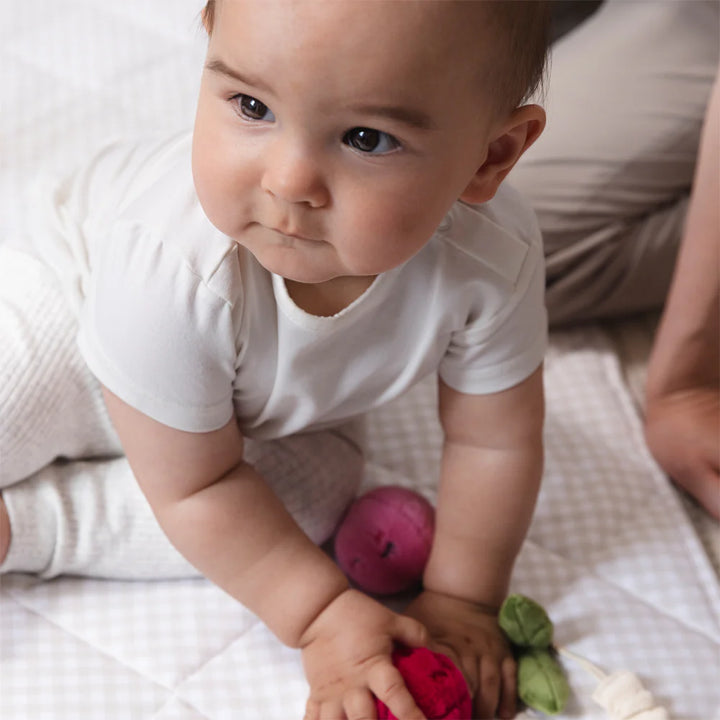 Mini Market Brunch Stroller Toys - Pineapple & Cherries
