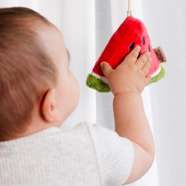 Mini Market Brunch Stroller Toys - Watermelon & Blueberry