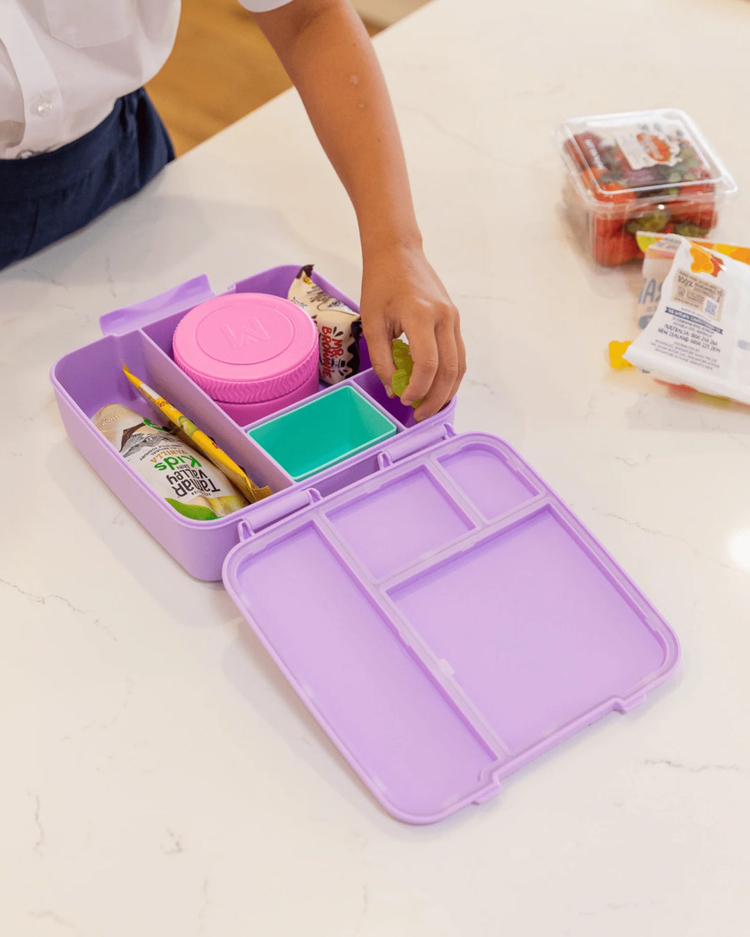 Montiico Feast Bento Lunch Box - Lilac