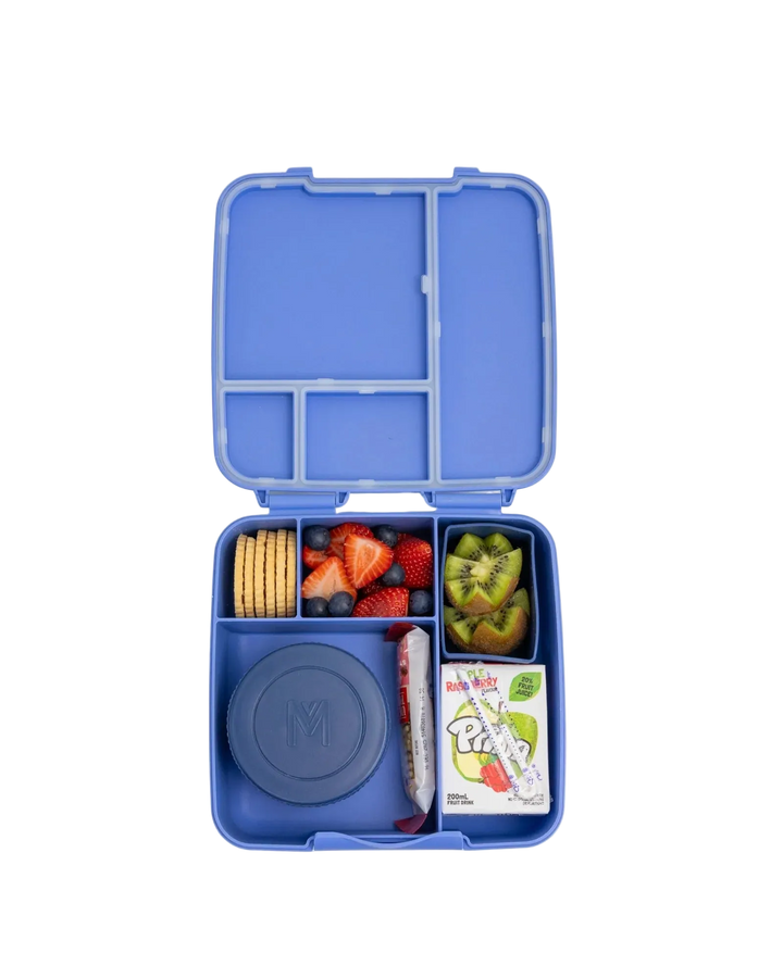 Montiico Feast Bento Lunch Box - Splash