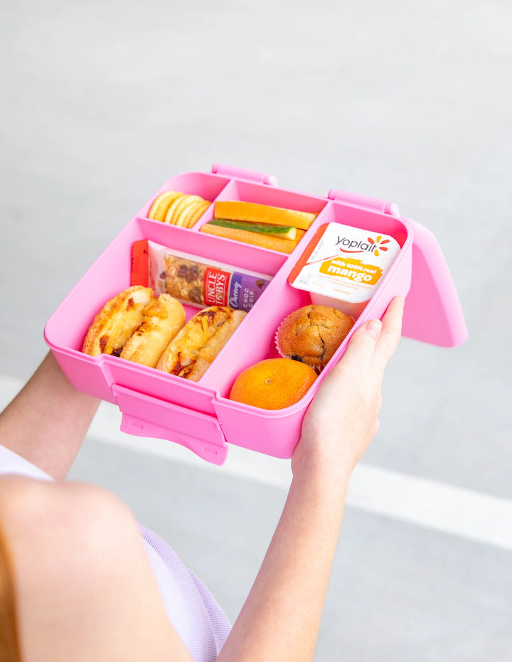Montiico Feast Bento Lunch Box - Floss