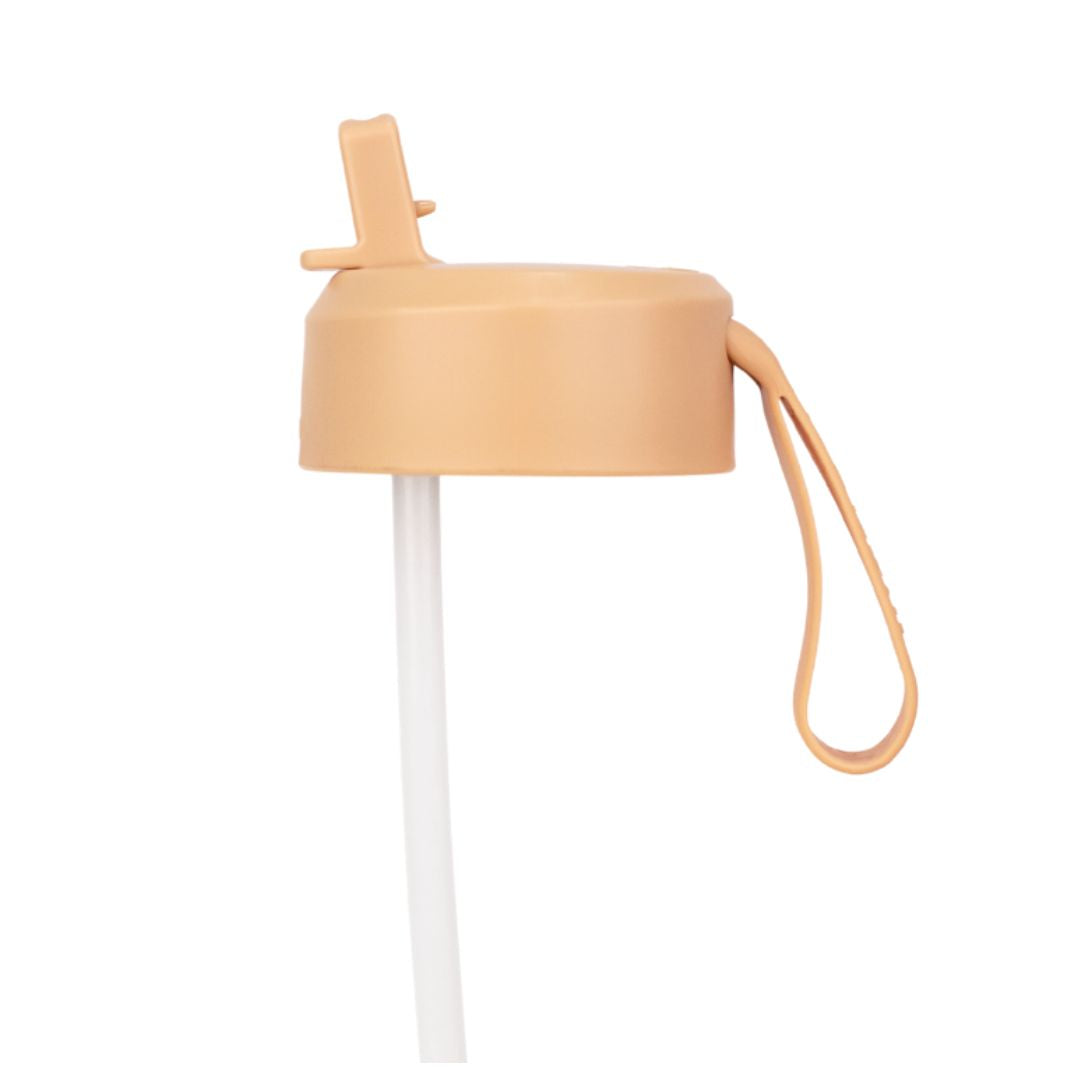 MontiiCo Fusion Sipper Lid + Straw | Dune