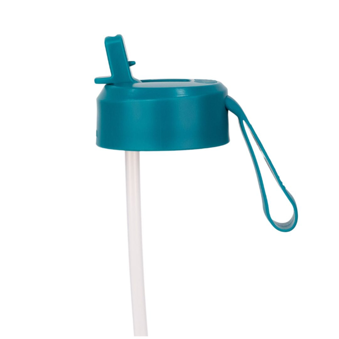 MontiiCo Fusion Sipper Lid + Straw | Assorted