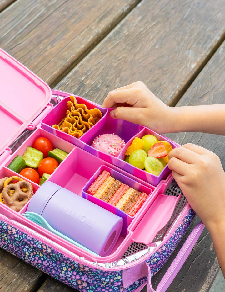 Montiico Feast Bento Lunch Box - Floss