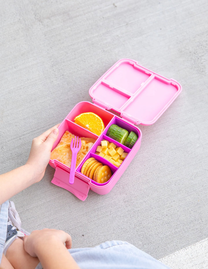 Montiico Silicone Bite Trays - Assorted