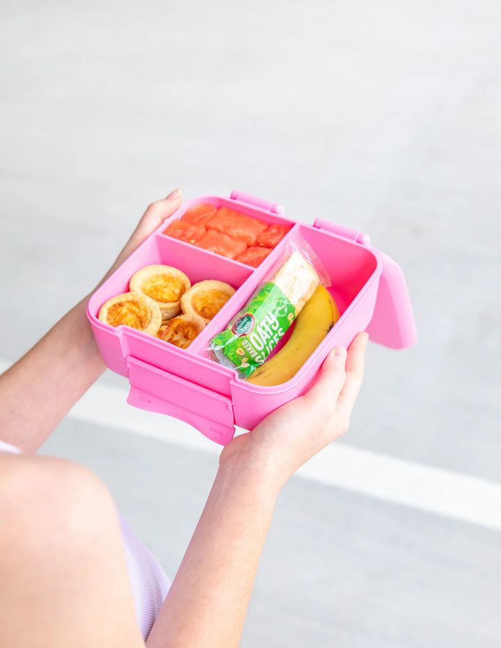 Montiico Bento Bite Lunch Box - Floss