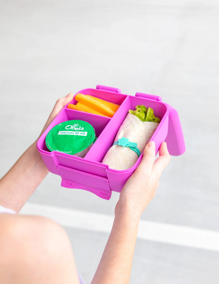 Montiico Bento Bite Lunch Box - Fuchsia
