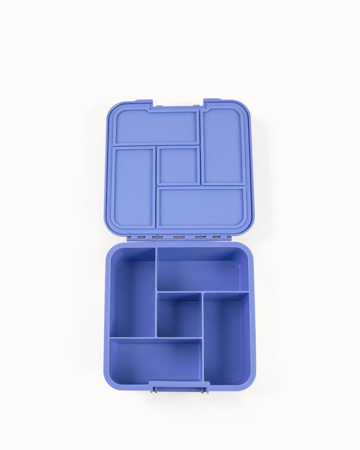 Montiico Bento Five Lunch Box - Splash