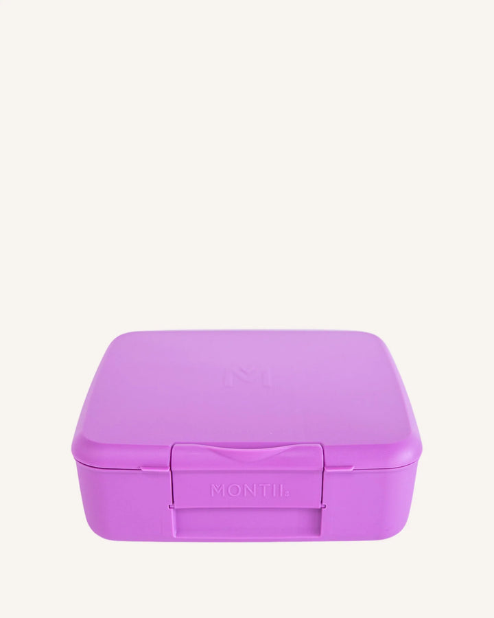 Montiico Feast Bento Lunch Box - Fuchsia