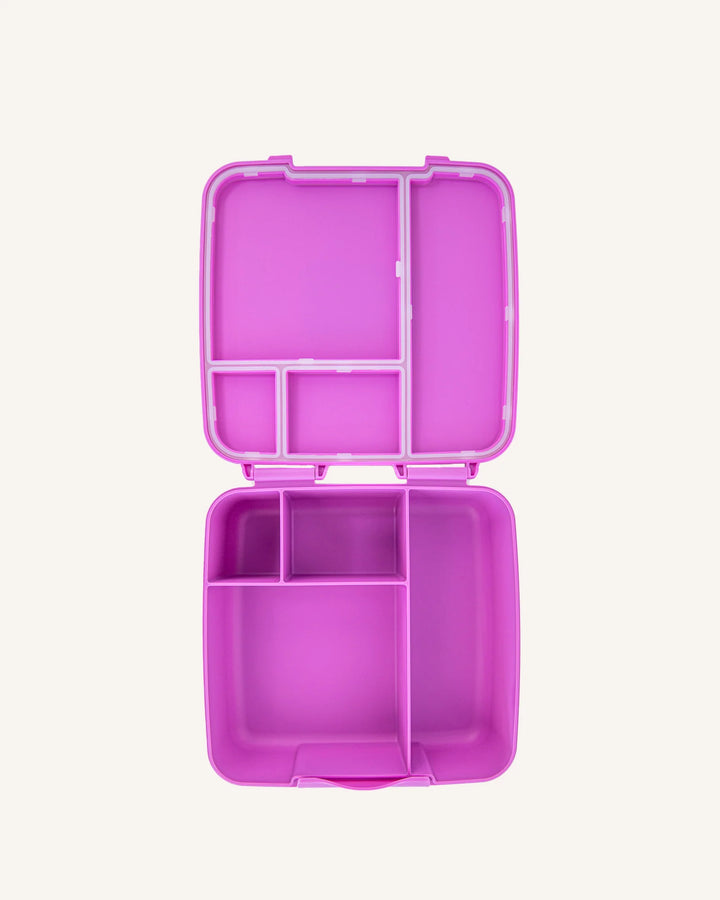 Montiico Feast Bento Lunch Box - Fuchsia