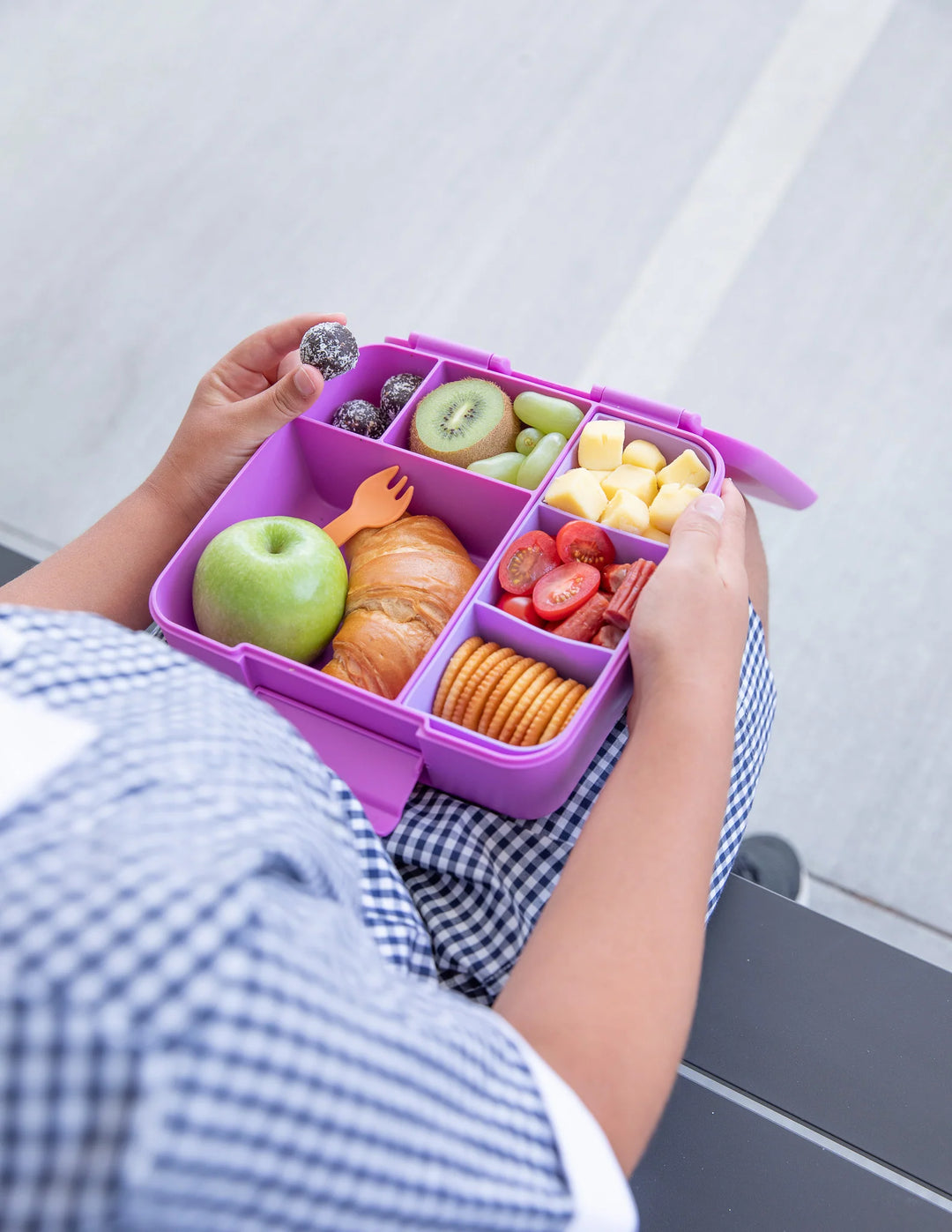 Montiico Feast Bento Lunch Box - Fuchsia