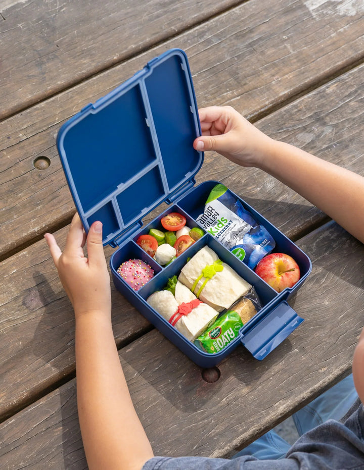 Montiico Feast Bento Lunch Box - Navy