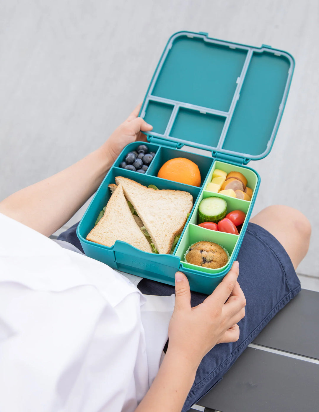 Montiico Feast Bento Lunch Box - Pine