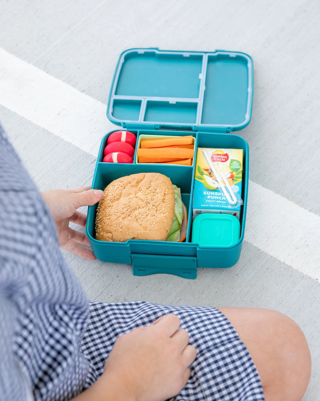 Montiico Feast Bento Lunch Box - Pine